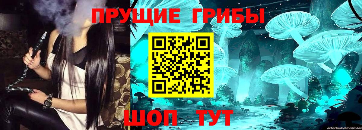 Карачаевск  магазин    Вход с VPN  Псилоцибиновые грибы прущие грибы 