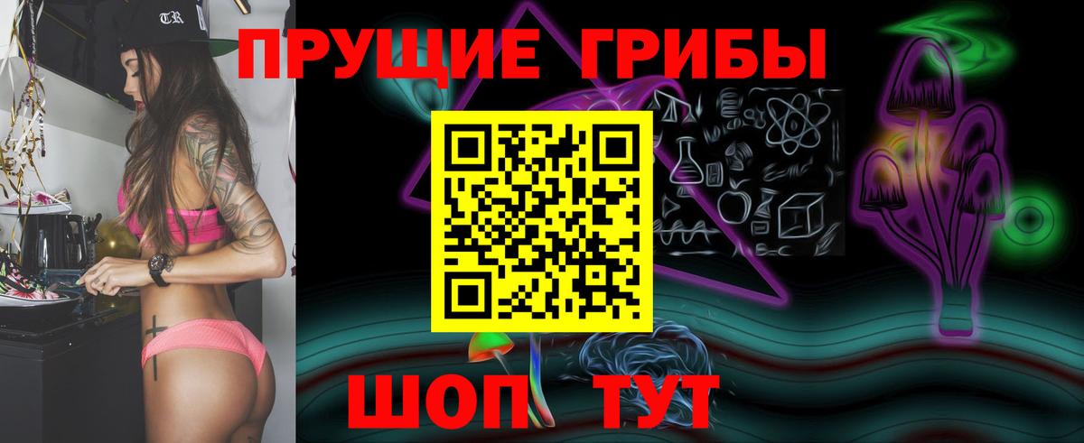 Псилоцибиновые грибы Cubensis Карачаевск